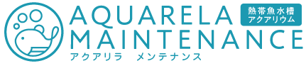 アクアリラメンテナンス