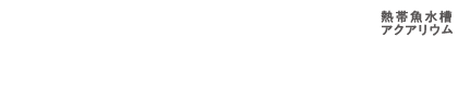 アクアリラメンテナンス